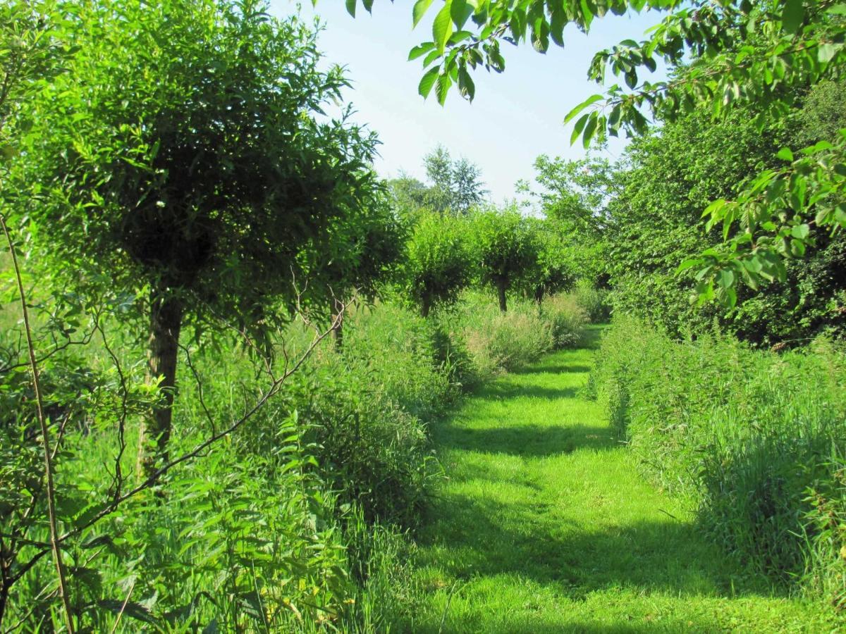 Gaestezimmer Im Engelshof, 61224 Moormerland Bagian luar foto